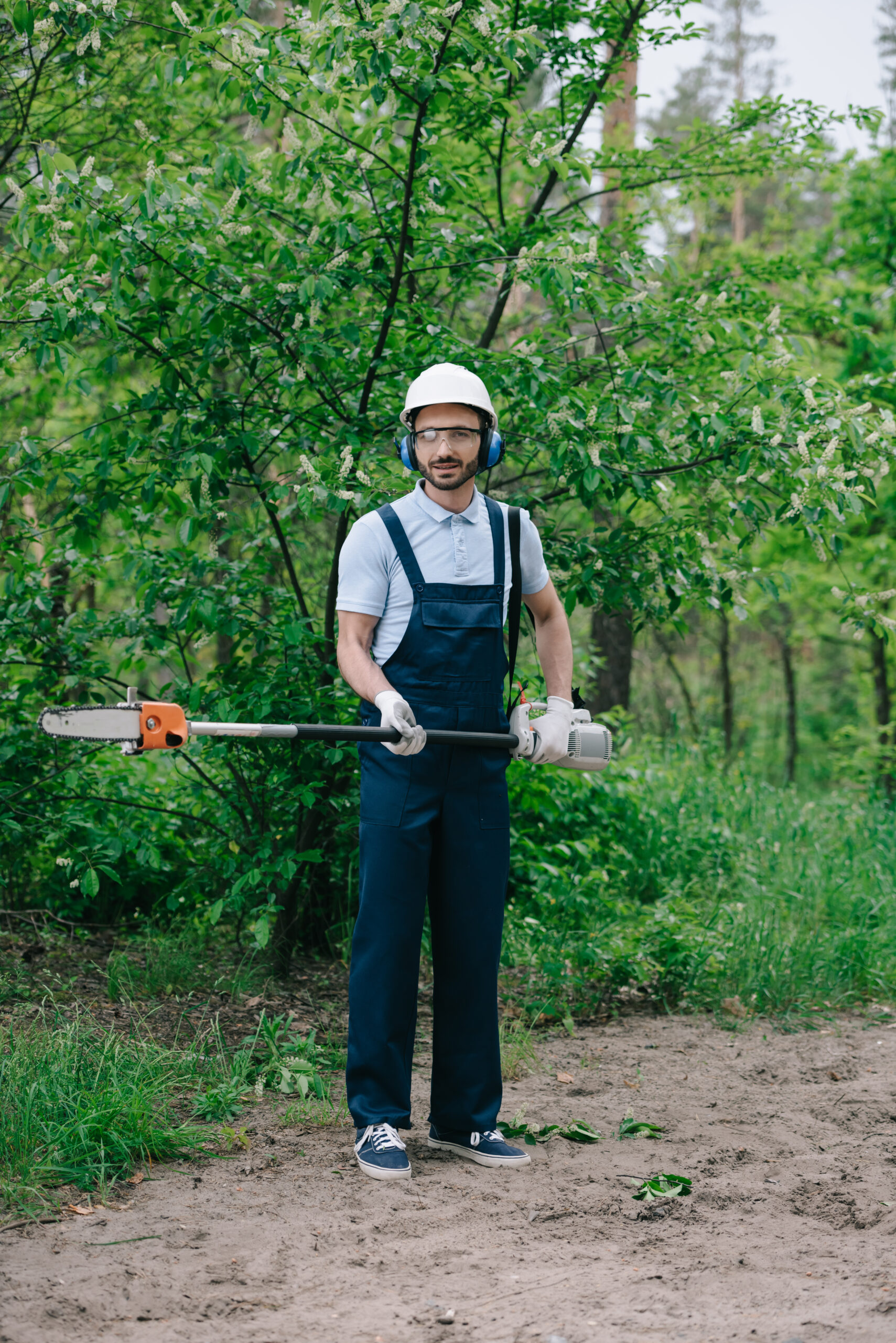 Arborist evaluating exposed tree roots near a structure