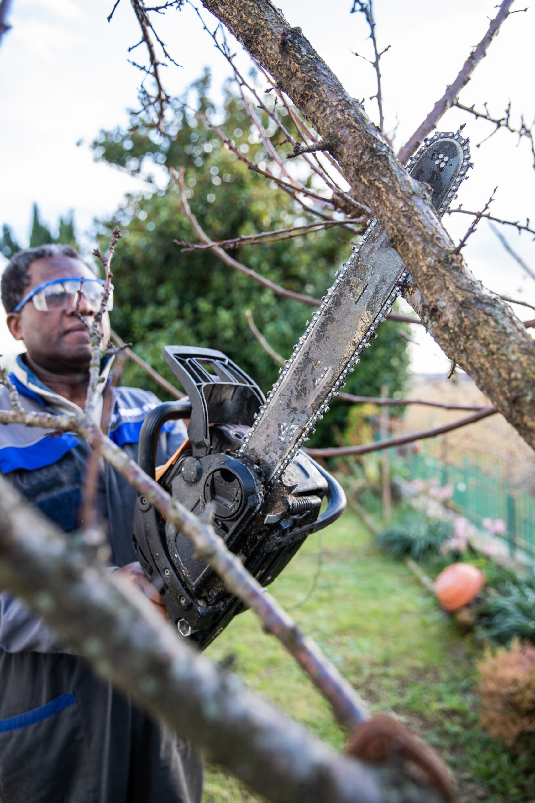 Crew member preparing equipment for root removal work